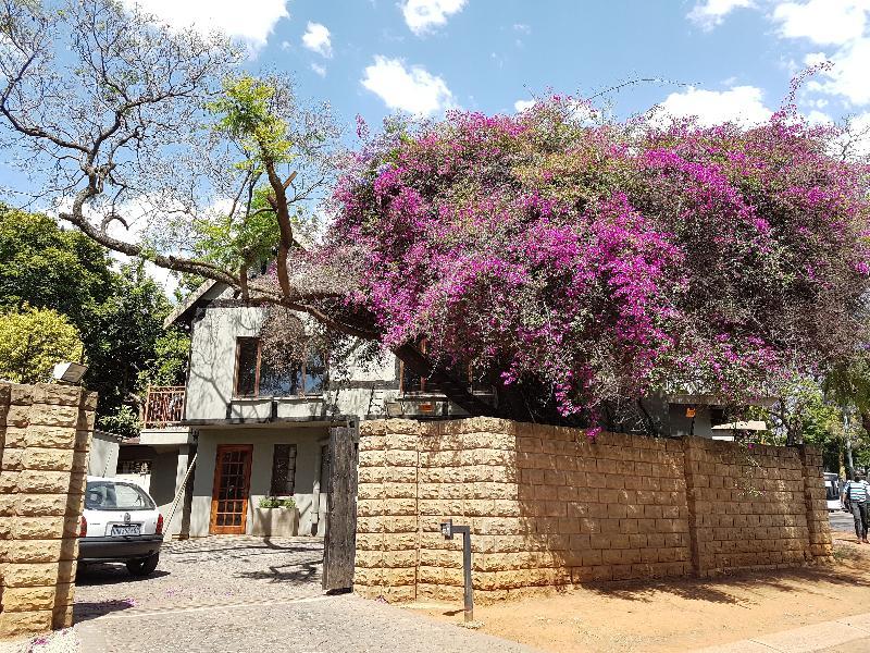 440@Brooklyn Hotel Pretoria Exterior photo